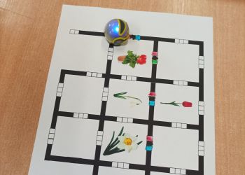 Powiększ zdjęcie: Zaprojektowana trasa dla robota Ozobot.