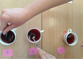 Powiększ zdjęcie: Doświadczenie - mieszanie różnych herbat z wodą ciepłą i analiza ich rodzajów.