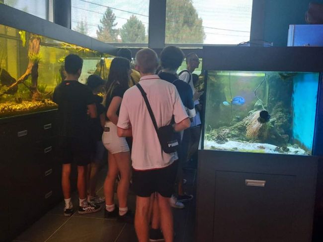 Kilkoro chłopców i dziewcząt między akwariami z rybami
