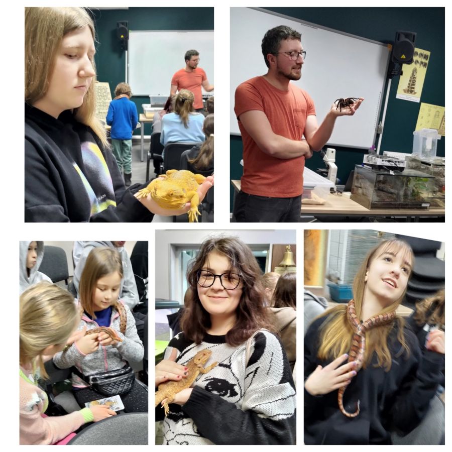 Dziewczynki z jaszczurkami, wężami w rękach, mężczyzna z pająkiem na dłoni - kolaż pięciu zdjęć