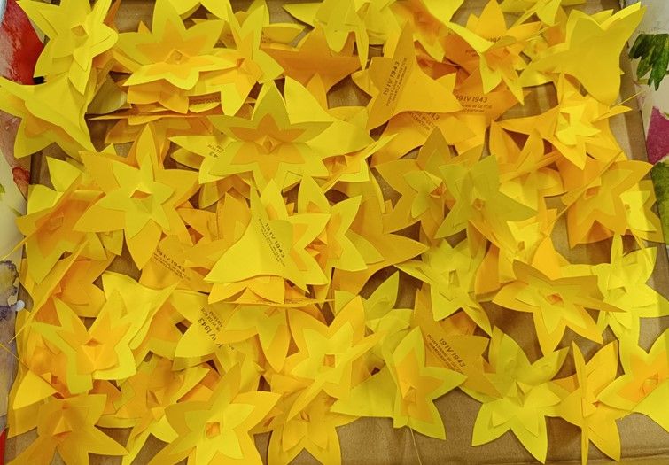 Żonkile wykonane z papieru